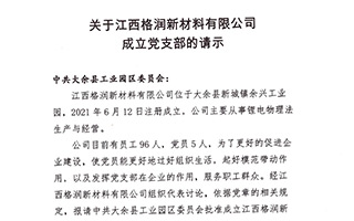 關于江西格潤新材料有限公司成立黨支部的請示